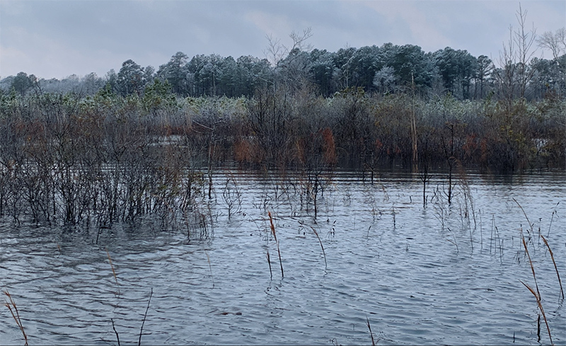 fishing pond